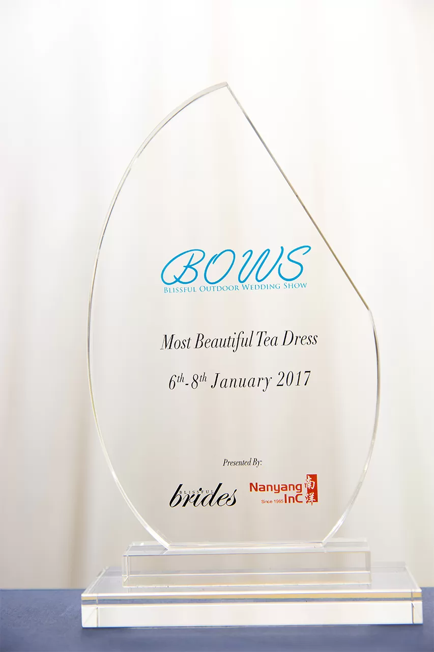 Wedding bridal gown winner 2017