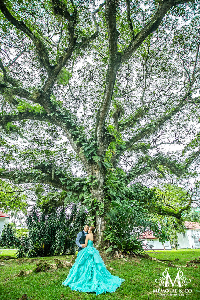 Malcom Pow & Evelyn Teo Jingwen Photography