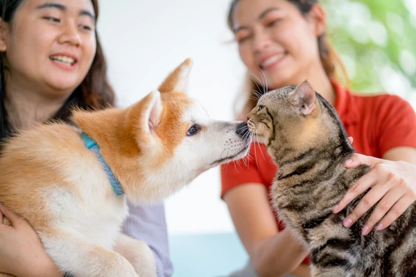 Pets Lifestyle Photoshoot